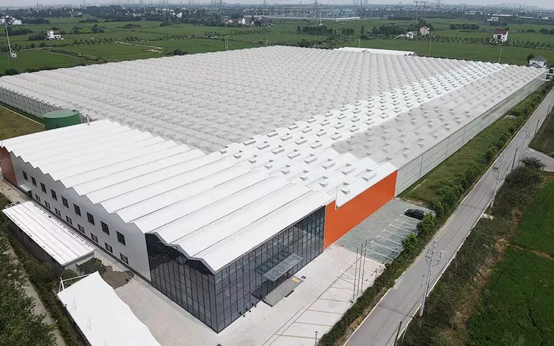 Jakie są funkcje i zastosowania szklanej szklarni?