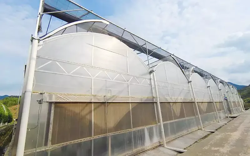Jak mogę korzystać z szklarni zewnętrznego systemu ekranu?