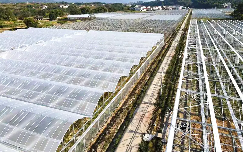 Eksploruj grzbiet - wentylowana plastikowa szklarnia, aby zwiększyć produkcję i rozwiązać problem wysokiej temperatury